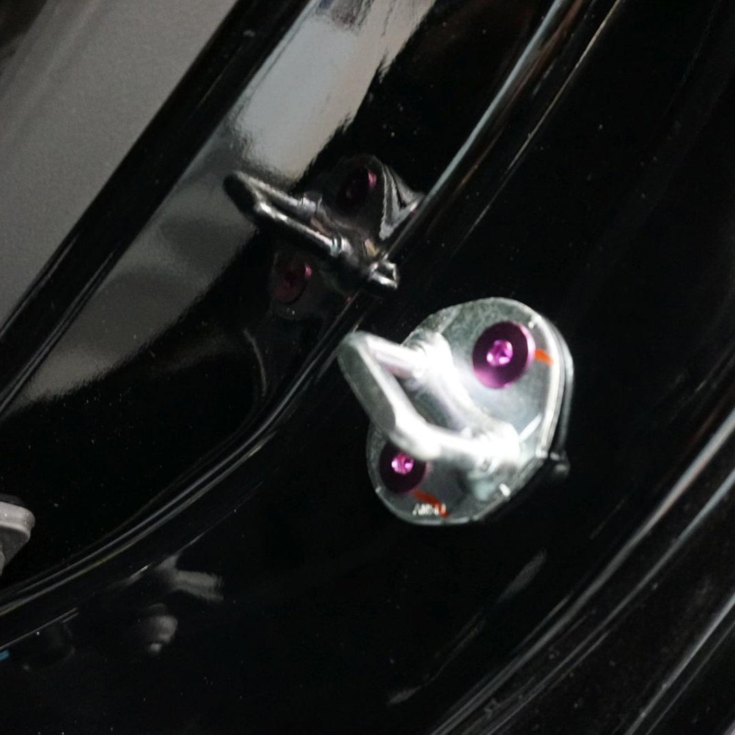 ZSPEC "Door Jams & Trunk-Area" Dress Up Bolts® Fastener Kit for '23+ Mitsubishi Mirage, Titanium - ZSPEC Design LLC - Hardware Fasteners - door jam, Fastener Kit, mirage, mitsubishi, Washer Color - zspecdesign.com