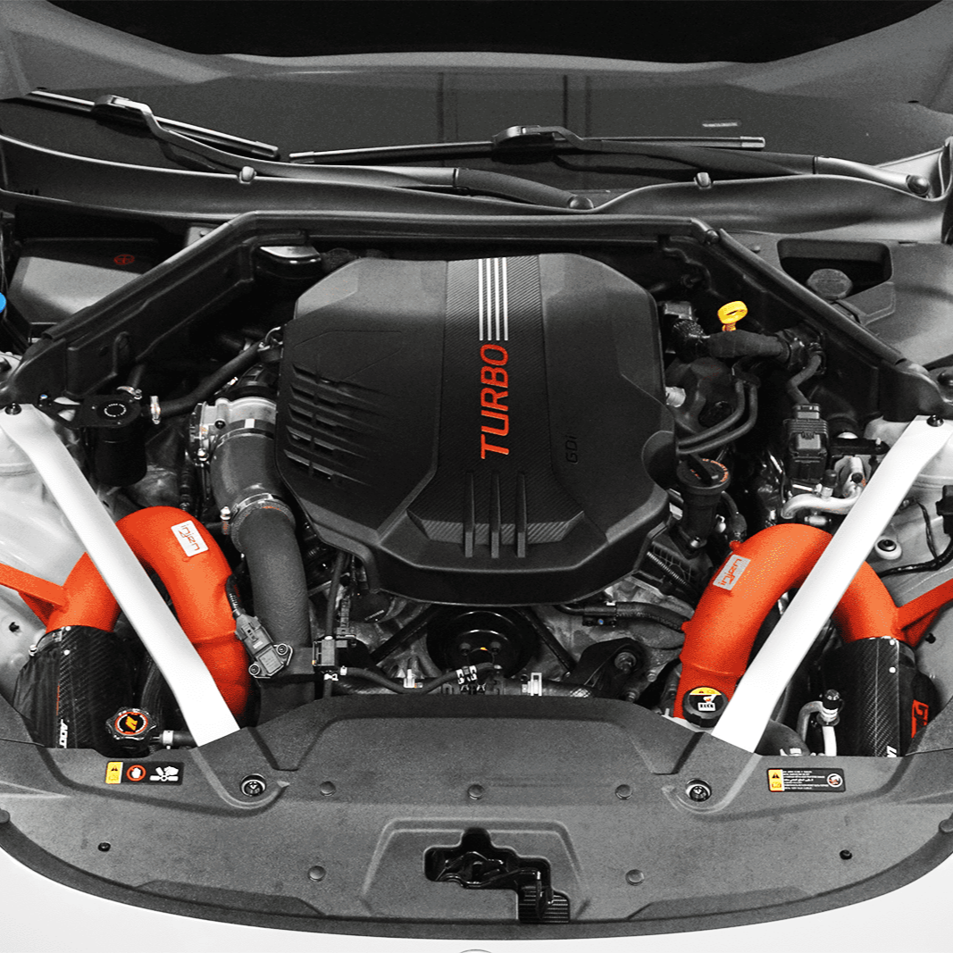 ZSPEC "Stage 3" Dress Up Bolts® Fastener Kit for '18+ Kia Stinger GT K8, Stainless & Billet - ZSPEC Design LLC - Hardware Fasteners - Fastener Kit, kia, stage 3, stinger - zspecdesign.com