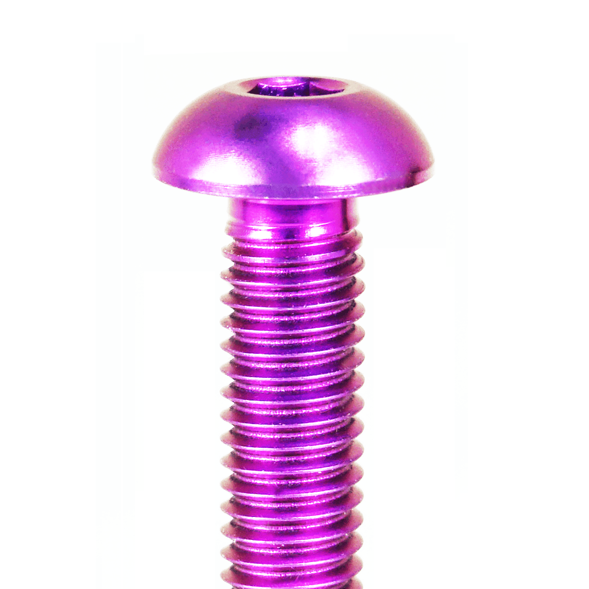 ZSPEC Button-Head Body Kit Fasteners, M5x20mm Titanium w/Well Nuts, Per Each - ZSPEC Design LLC - Hardware Fasteners - 60-pack, body, body hardware, button, Fastener, m5, titanium, well - zspecdesign.com