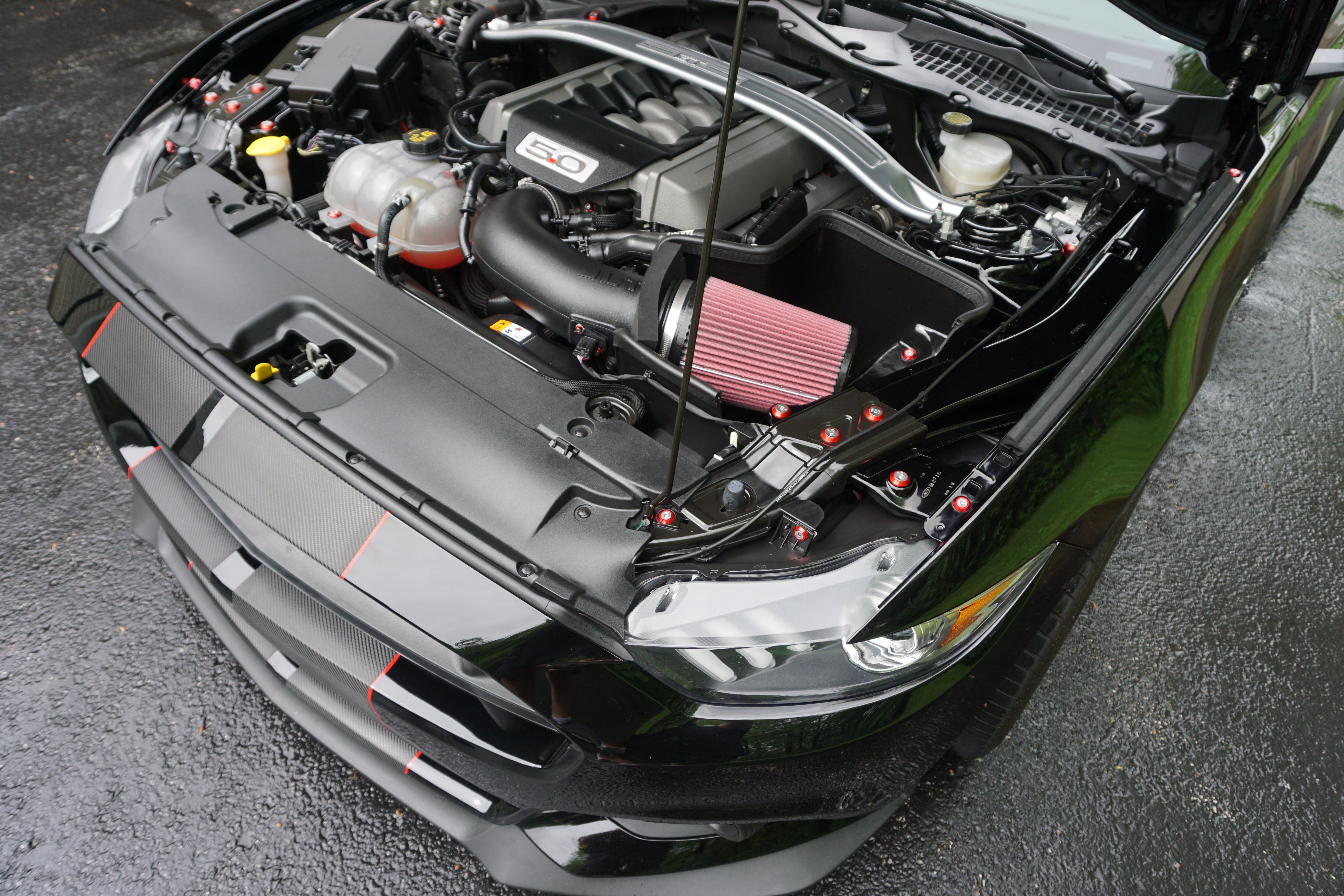 Titanium & Stainless-Billet Hardware Kits for the Ford Mustang S550, SN95, Fox-Body - ZSPEC Design LLC