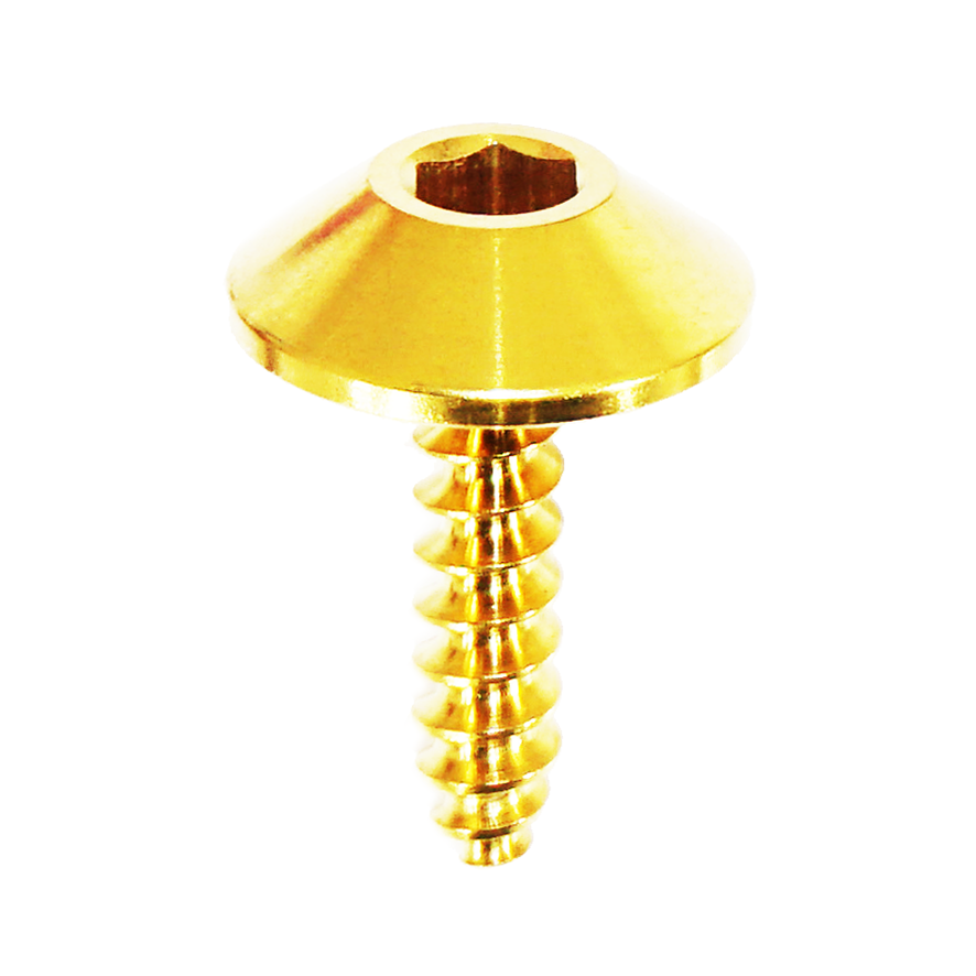 ZSPEC Angled Coarse M4x16mm Fastener, Titanium Grade-5, Sold per Each

Lightweight, non-corrosive titanium materials. Utilizes M4 hex key for installation