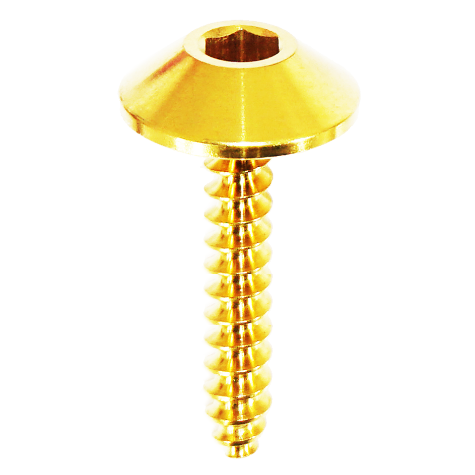 ZSPEC Angled Coarse M5x25mm Fastener, Titanium Grade-5, Sold per Each

Lightweight, non-corrosive titanium materials. Utilizes M4 hex key for installation