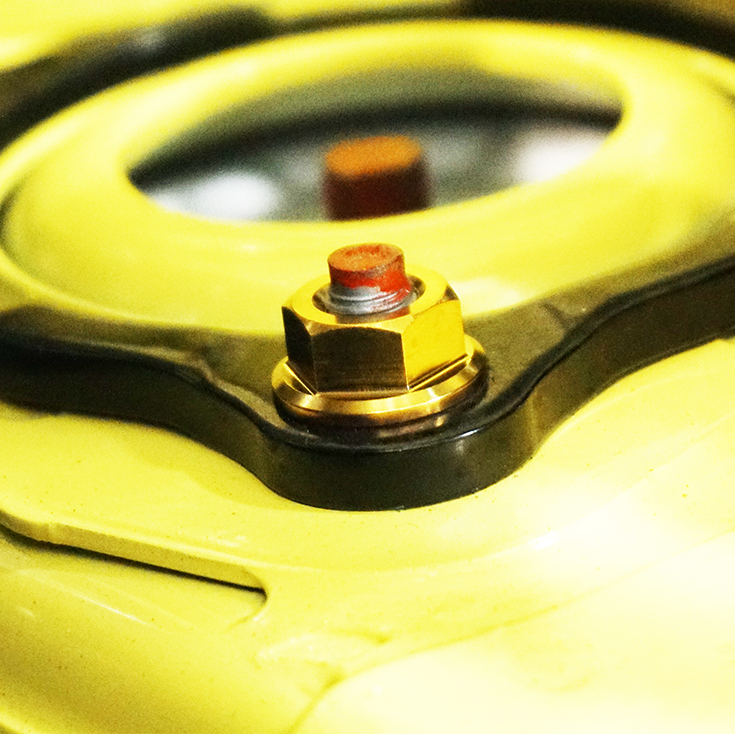 ZSPEC Front-Shocks Fastener Kit for 01-07 Acura RSX K20, Titanium Dress Up Bolts Hardware Grade-5 Fittings