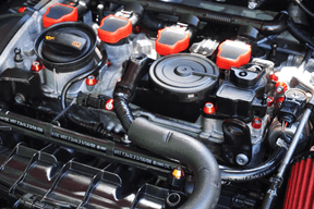 ZSPEC Dress-Up Fastener Kit for '10-14 VW MK6 Golf GTI/Jetta 2.0L SUS304 Stainless Billet Aluminum Red Blue Black Purple Gold Silver Engine Bay Dress Up Bolts Fasteners Hardware